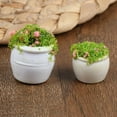 thumbnail image 2 of 1:12 Dollhouse Mini Furniture Accessories Mini Green Plant Bonsai Flower Pots, 2 of 10