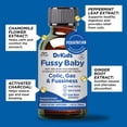 thumbnail image 3 of DrKids Fussy Baby Liquid Dietary Supplement, Gripe Water Alternative, 3.4 Fl. Oz. (100 ml), 3 of 8