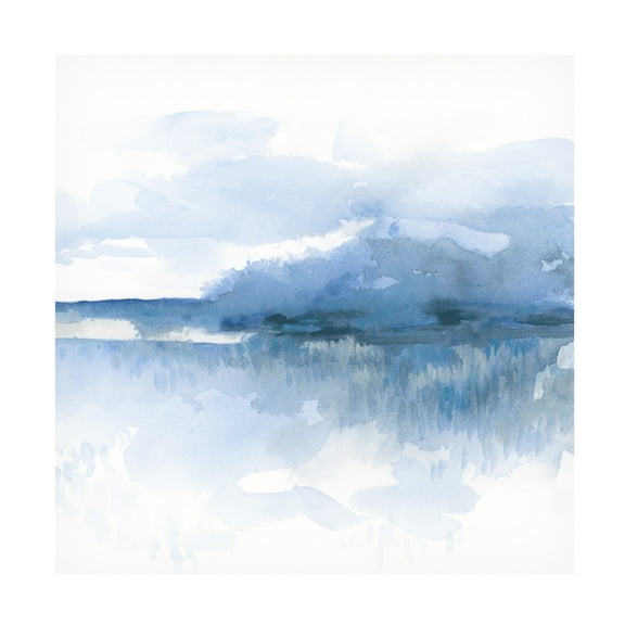 Trademark Fine Art June Erica Vess  Blue Mist Marsh II Canvas Wall Art