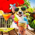 thumbnail image 3 of Haute Diggity Dog Muttini Collection | Unique Squeaky Parody Plush Dog Toys – Dogmestic and Impawted, 3 of 7