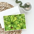thumbnail image 2 of Shamrocks and Lady bugs Greeting Cards and Envelopes Pack of 8, 2 of 2