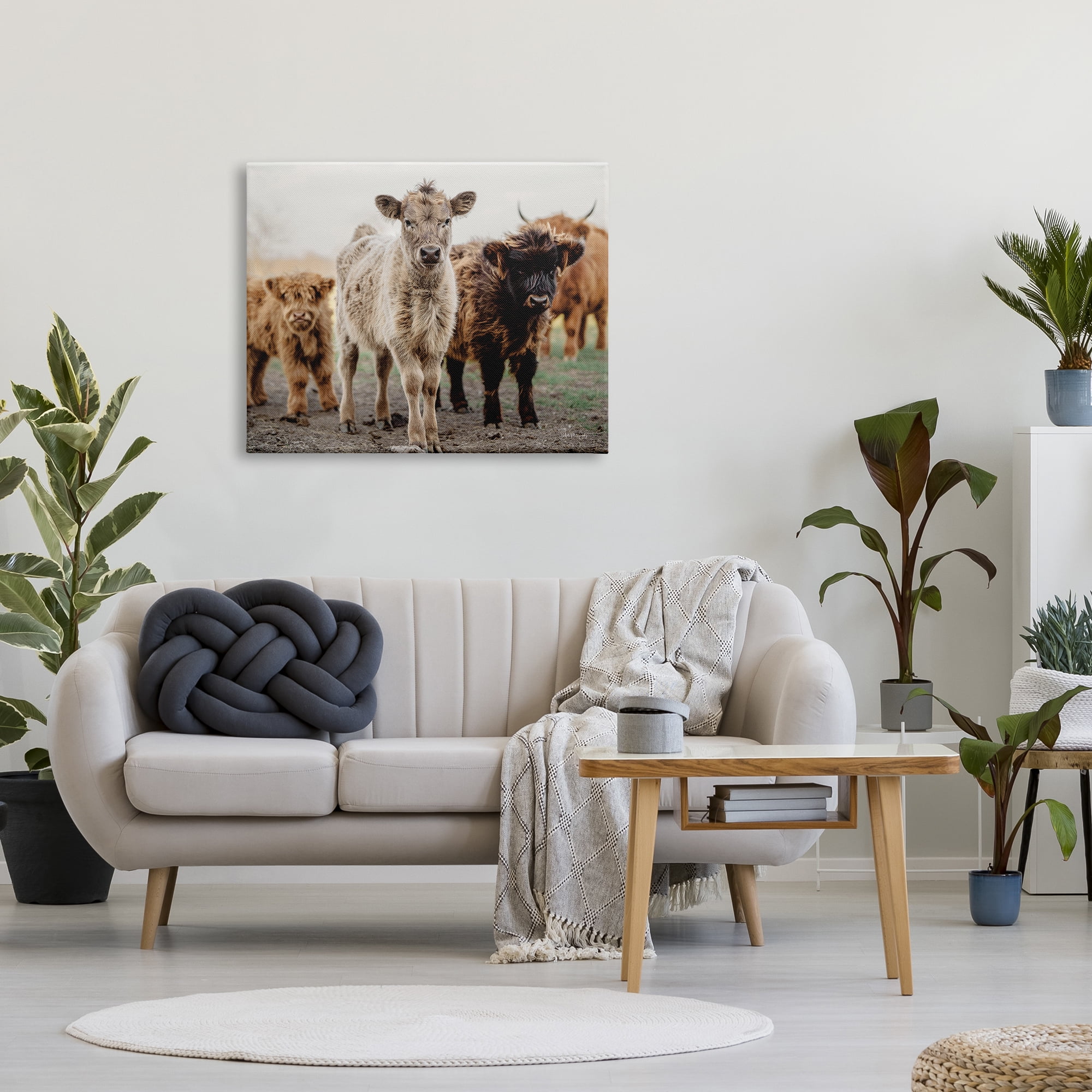 Stupell Industries Baby Calves on Farm Animals & Insects Photography Gallery Wrapped Canvas Print Wall Art, 40 x 30