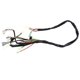 thumbnail image 3 of Conjunto de mazo de cables de repuesto para motocicleta para Yamaha PW50, 3 of 5