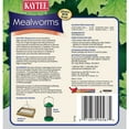 Kaytee Products 100505651 3.5 oz. Mealworm Re Sealable Pouch