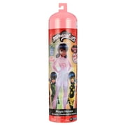 Miraculous Ladybird and Black Cat Time to Transform Marinette Doll