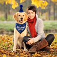 thumbnail image 3 of Adorable Cartoon Bandana Scarf & Party Hat Set for Small to Medium Breeds - Soft Cotton, Polyester, and Spandex Blend - Woven Construction - Fun Birthday Accessory for Pets, 3 of 5