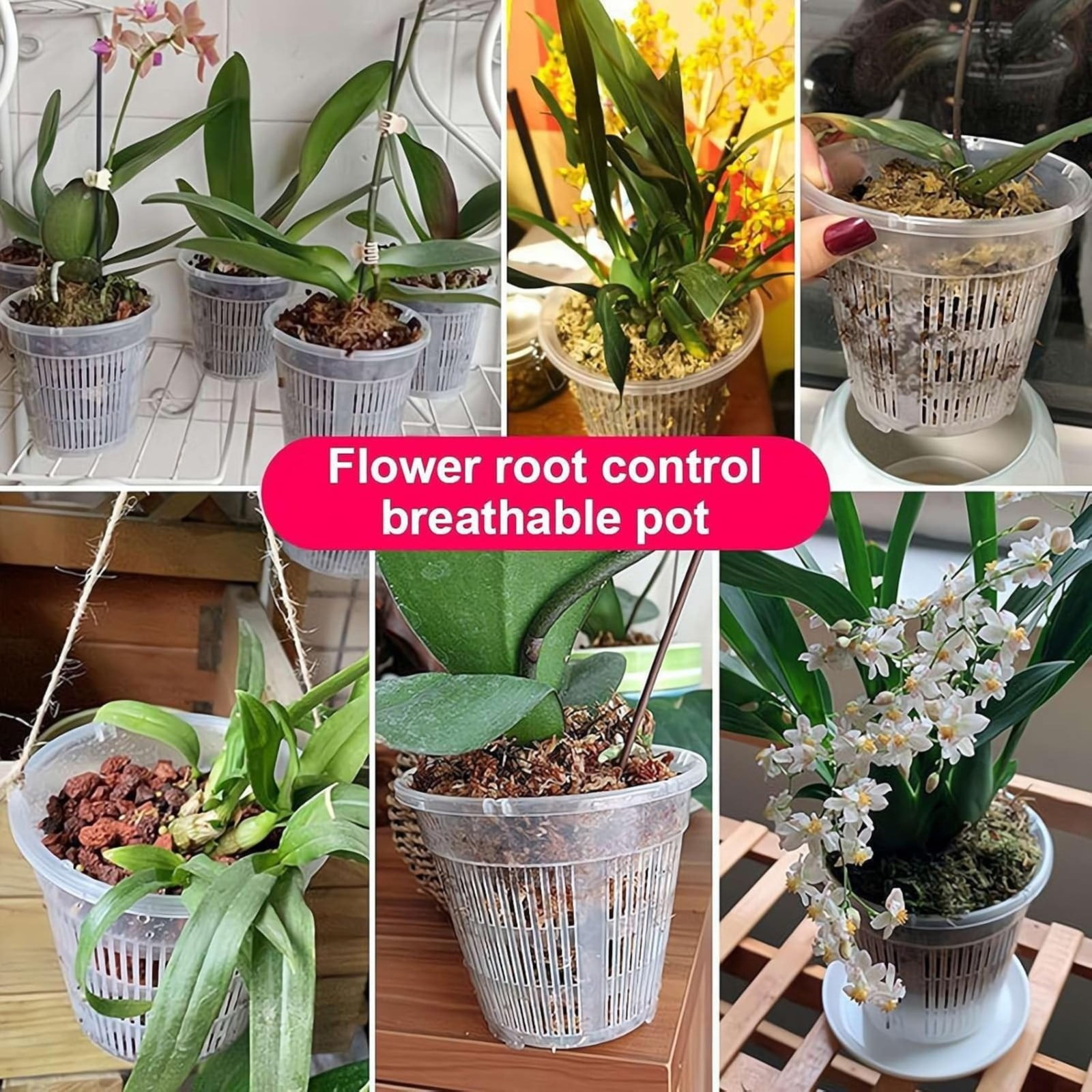 Naked Root Pot, 1 Pack 5.51x4.72 Inch Clear Orchid Pots with Holes for Repotting, Breathable Orchid Pot, Slotted Plastic Orchid Planters with Drainage for Plants and Flowers Root Health Indoor Outdoor