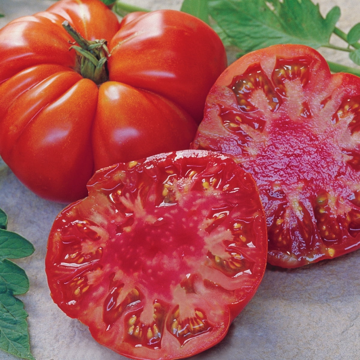 Burpee Tomande Hybrid Tomato Annual Vegetable Seed, 1-Pack, Full Sun