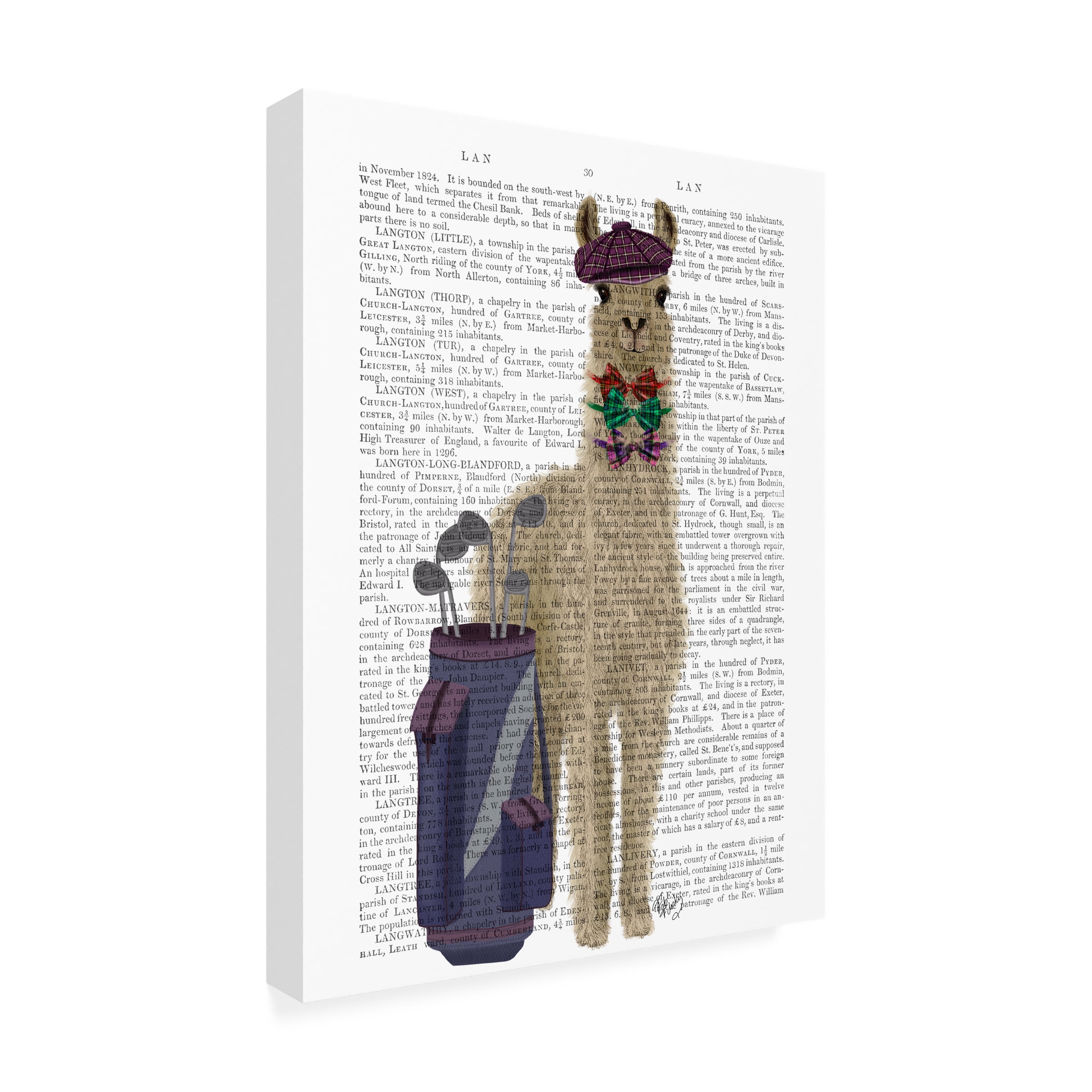 Fab Funky 'Llama Golfing Book Print' Canvas Art