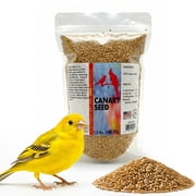 Morning Bird Canary Seed 1.5 lbs – Nutritional Rich in Vitamins and Supplements for Birds – Ideal for Healthy Feathers and Strong Bones Seed for All Birds Type