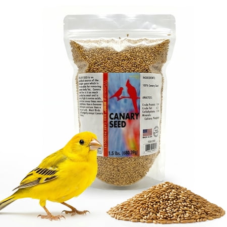 Morning Bird Canary Seed 1.5 lbs – Nutritional Rich in Vitamins and Supplements for Birds – Ideal for Healthy Feathers and Strong Bones Seed for All Birds Type