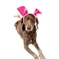 thumbnail image 2 of Midlee Dog Pig Halloween Headband Costume with Tail- Large, 2 of 4