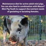Mazuri Mini Pig Active Adult Food Complete Nutrition Supplements Minerals 25lbs