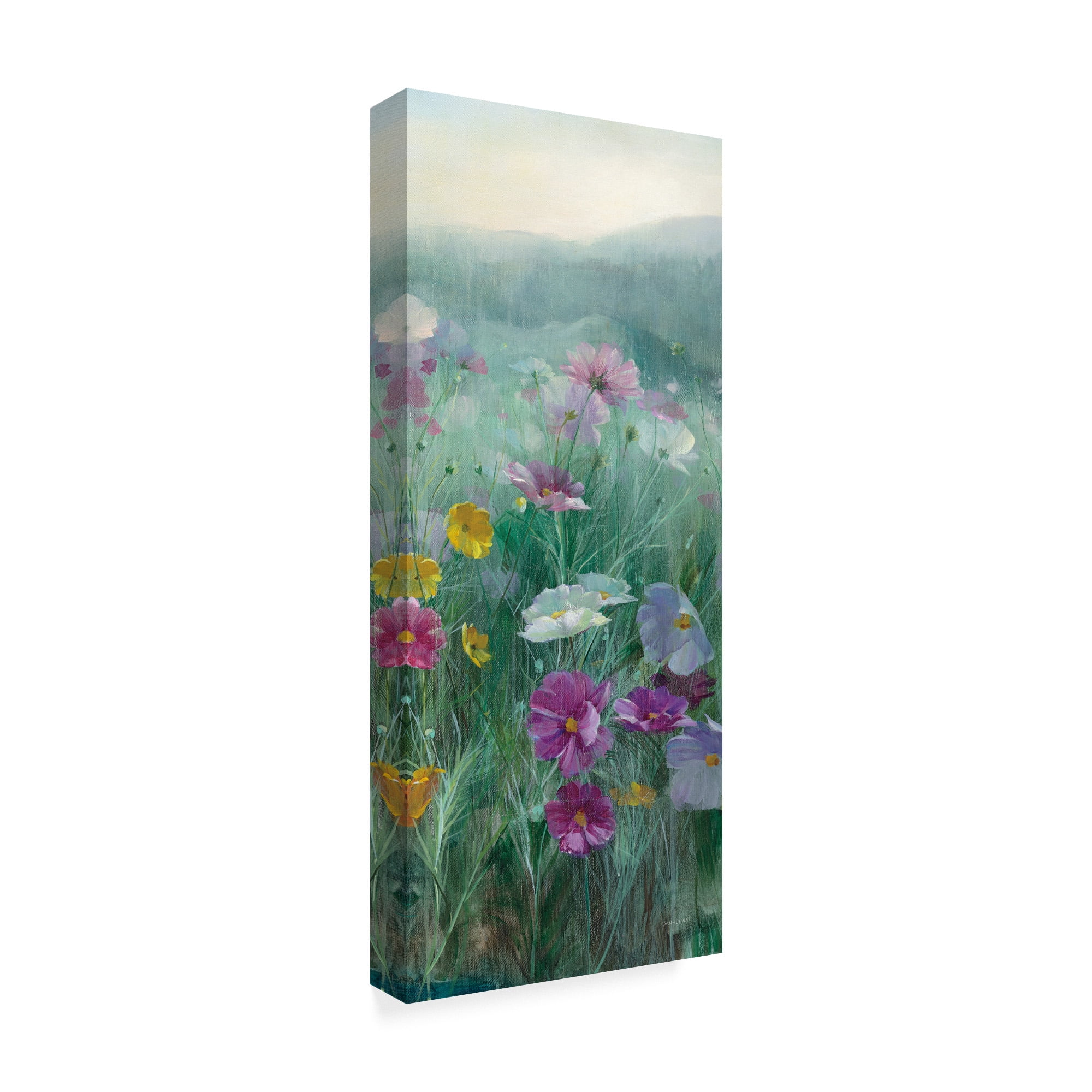 Trademark Fine Art 'Cosmos at Dawn III' Canvas Art by Danhui Nai
