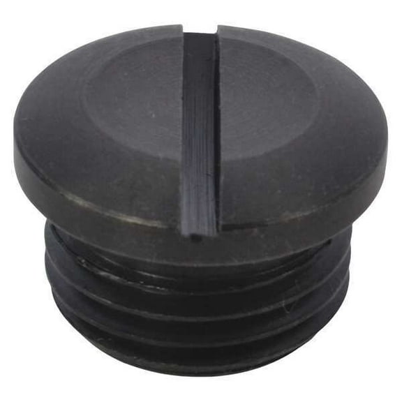 Speedaire Valve Cap TTR4420406G