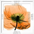 thumbnail image 5 of Art.com Poppy Orange Photographic Print by Albert Koetsier, White Frame Wall Art, 21" x 21", 5 of 5