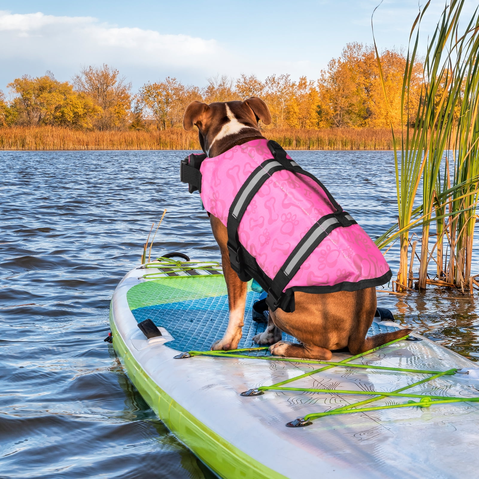 NEWEEN Dog Life Jackets Dog Life Vests for Swimming Beach Boating with High Buoyancy Dog Flotation Vest for Small/Medium/Large Dogs, Blue, M