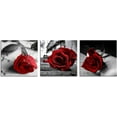 thumbnail image 2 of Canvas Print 3 Pcs Black and White Red Rose Canvas Art Painting Abstract Wall Art Decorations Flower Picture on Canvas for Home Decor Stretched and Framed (16X16inchX3pcs, A-Rose), 2 of 6