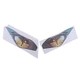 thumbnail image 1 of Calcomanías De Pegatinas De Faros De Motocicleta Aptas Para Kawasaki Ninja650 Dragon Eyes Sunnimix Pegatina de faro de motocicleta, 1 of 8