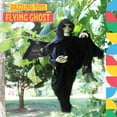 thumbnail image 3 of Flying Ghost Hanging Floating Skeleton Ghost Halloween Decoration Shaking Ghost Dazzling Toys, 3 of 7