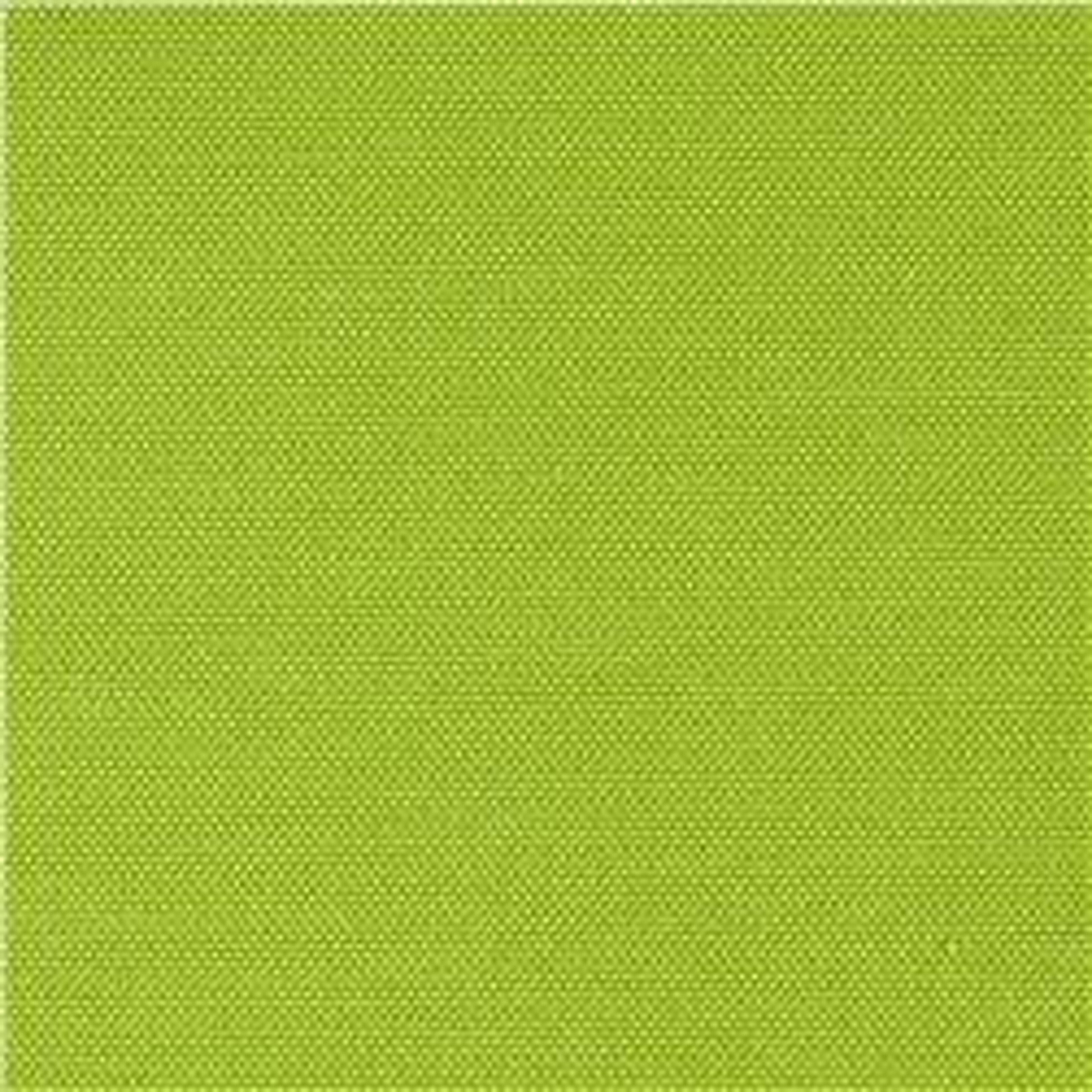 Bristol 20x20 Inch Apple Green Indoor/Outdoor Cushion Set