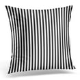 thumbnail image 1 of BOSDECO Abstract Black White Vertical Stripes Pattern Artistic Pillowcase Pillow Cover Cushion Case 18x18 inch, 1 of 1