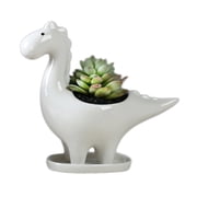Coofit Flower Pot Cartoon Creative Dinosaur Plant Pot Flower Planter for Home Decor