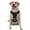 With Accessories, variant on Vsdgher American Flag Camo Pattern Dog Harness,No Pull Pet Harness with Soft Padded Handle,Adjustable Reflective Vest with 2 Buckles,4 Slide Buckles,S-XL