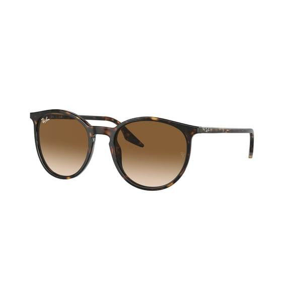 Sunglasses Ray-Ban RB 2204 902/51 Havana Clear Gradient Brown