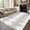 Beige Black‑A, variant on ZACOO 2'x6' Modern Machine Washable Runner Rug, Ultra‑Thin Low Pile Non‑Slip Minimalist Linear Geometric Carpet for Hallway Entryway Kitchen, Dark Gray