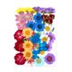 thumbnail image 1 of Conjunto de flores secas Advancent Decoración Tipo 8, 1 of 6