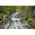 thumbnail image 2 of Paulson, Don 32x23 Gold Ornate Wood Framed with Double Matting Museum Art Print Titled - WA, North Cascades Water rushes in Cascade River, 2 of 4