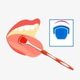 thumbnail image 2 of Hearth & Gear Tongue Coating Brush Tongue Coating Cleaning Brush Scraping Plate For Adults Tongue Scrubber For Better Breath (Blue&Orange) Toothbrush Covers Caps Wisdom Toothbrush - Extra Hard - Color, 2 of 7