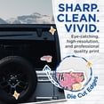 thumbnail image 2 of (2 Pack) North Carolina Stickers - Teddy Bear - NC State Pride Stickers - 5" On Longest Side - Sticks to Smooth Flat Surfaces - Made in USA - BMCS18463, 2 of 7