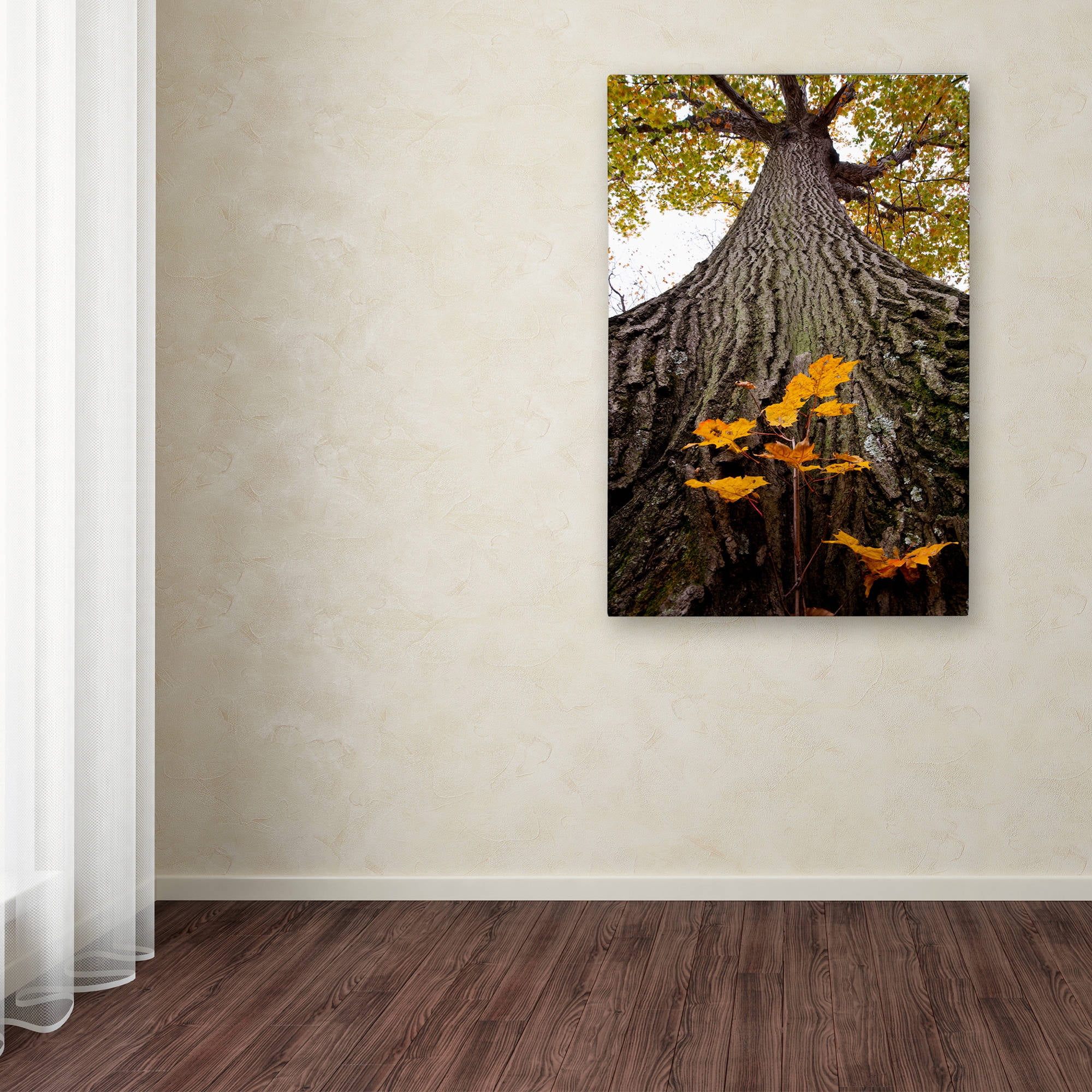 Trademark Fine Art "Aspiring to New Heights" Canvas Art by Kurt Shaffer