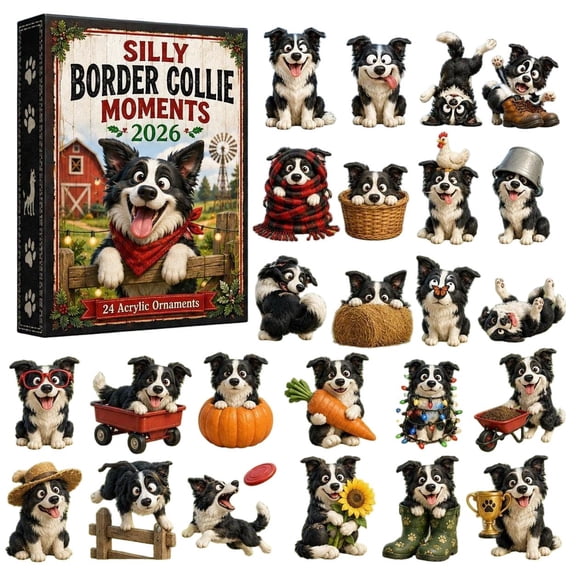 CQHVKQ Christmas Advent Calendar 2026, 24 Days Christmas Countdown Calendar of Puppy Surprise, Silly Themed 2D Acrylic Border Collie Ornaments Advent Calendar for Dog Lover Gifts, Xmas Tree Decor