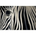 thumbnail image 3 of Moreno, Mario 18x13 Black Modern Framed Museum Art Print Titled - Eye A Stripes, 3 of 5
