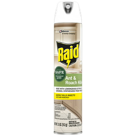 Raid Ant and Roach Killer 27, 11 Ounces (Best Outdoor Ant Spray)