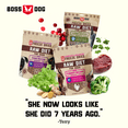 thumbnail image 2 of Boss Dog Probiotic Freeze Dried Healthy Dog Food, Lamb Recipe 12 oz, 2 of 6
