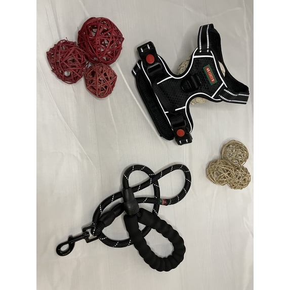 Reflective Harness