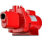 Red Lion RJS-50-PREM .5HP Cast Iron Thermoplastic Shallow Well Jet Pump
