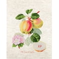 thumbnail image 5 of The Dutch Codlin BA22440L Counted Cross-Stitch Kit, 5 of 12