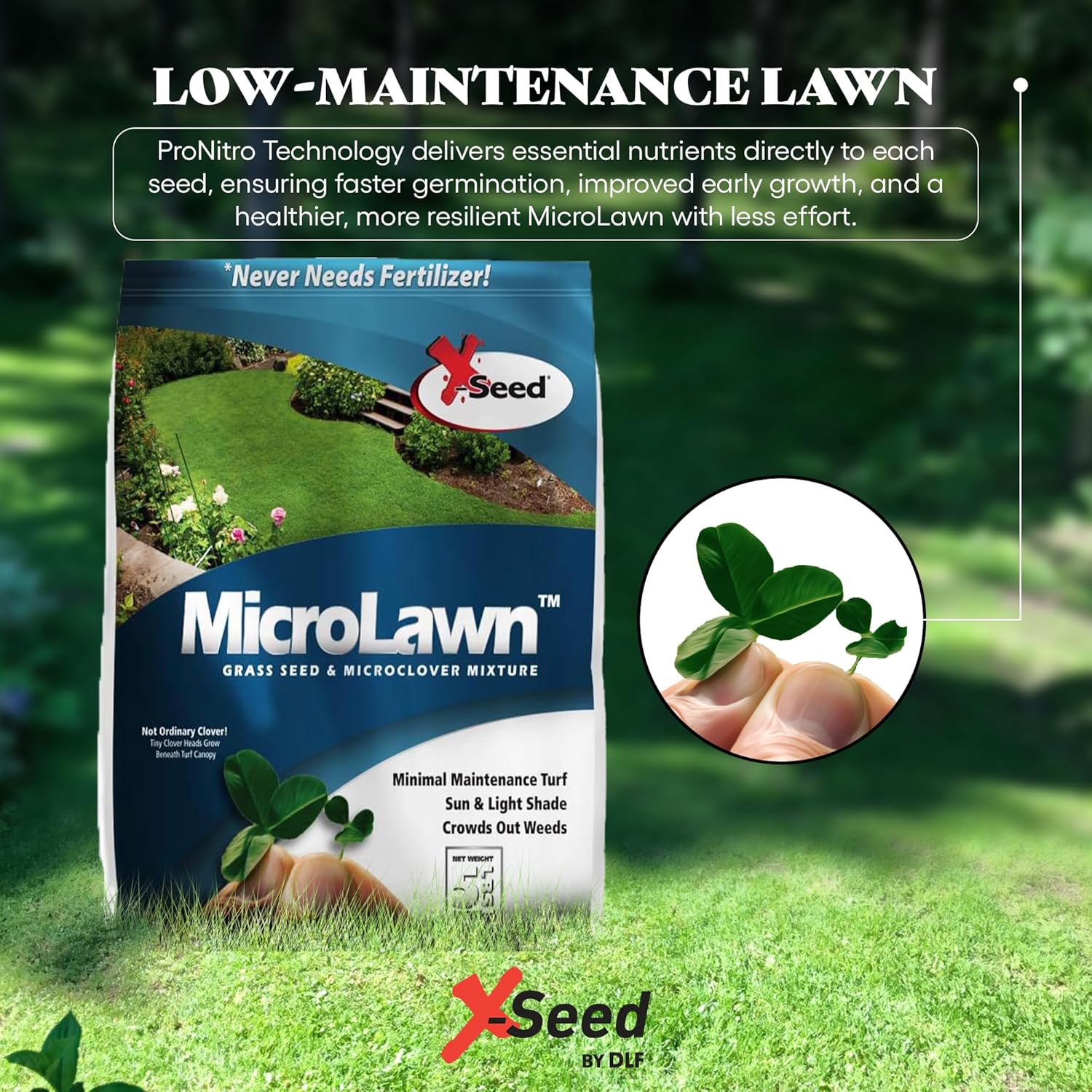 X-Seed 440AS0135UCT144 5 Lb MicroLawn Grass Seed and Microclover Mixture