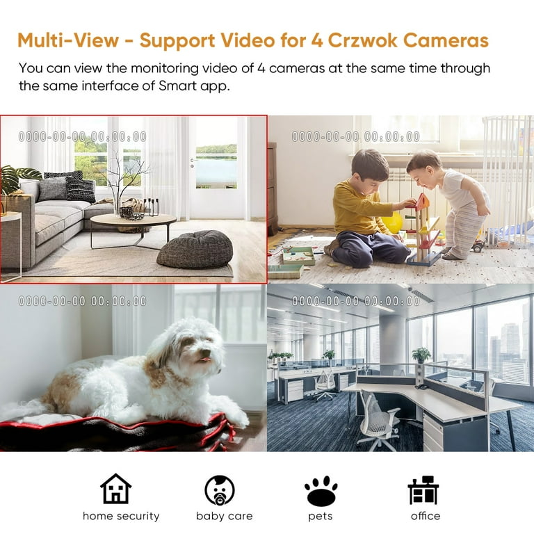 dog home video monitor