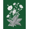 thumbnail image 2 of Wild Apple Portfolio 12x14 White Modern Wood Framed Museum Art Print Titled - Green Botanical VI, 2 of 4