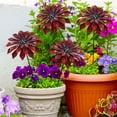 thumbnail image 6 of Garden Stakes Metal Flower Art Outdoor Courtyard Ornament Metal Sculpture Gift for Mom, 6 of 9