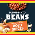 thumbnail image 5 of Ranch Style Premium Pinto Beans, Canned Beans, 15 oz., 5 of 7