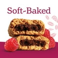 thumbnail image 6 of Nature's Bakery Raspberry Fig Bars Snack, 10 Pack, 2 oz Each, Box, 6 of 12