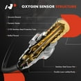 thumbnail image 3 of A-Premium O2 Oxygen Sensor Compatible with Dodge Ram 1500 2003, Ram 2500 2001-2002, Ram 3500 2001-2002, 5.9L 8.0L, Upstream & Downstream, 4-PC Set, Replace# 56030100AA, ST24943, 3 of 6