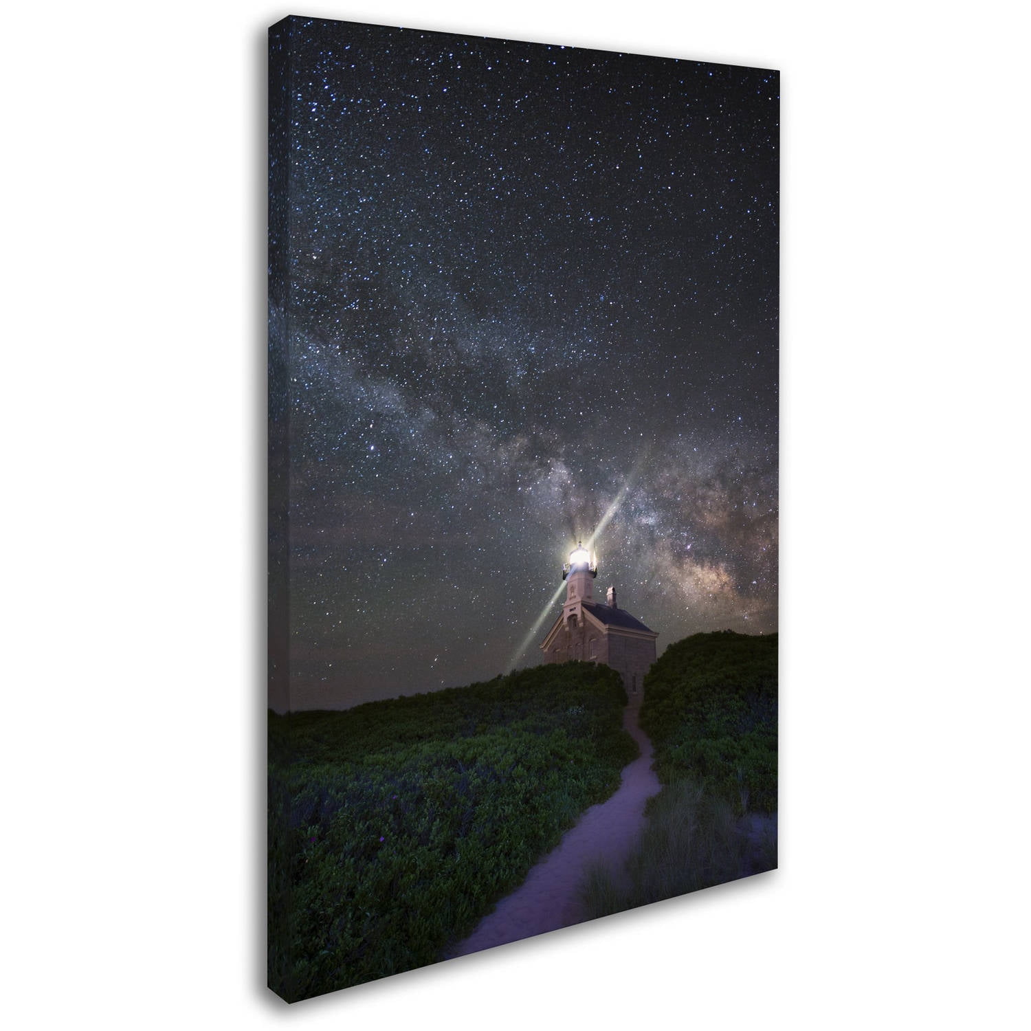 Trademark Fine Art "Follow the Light" Canvas Art by Michael Blanchette Photography